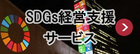 SDGs経営支援サービスアイコン